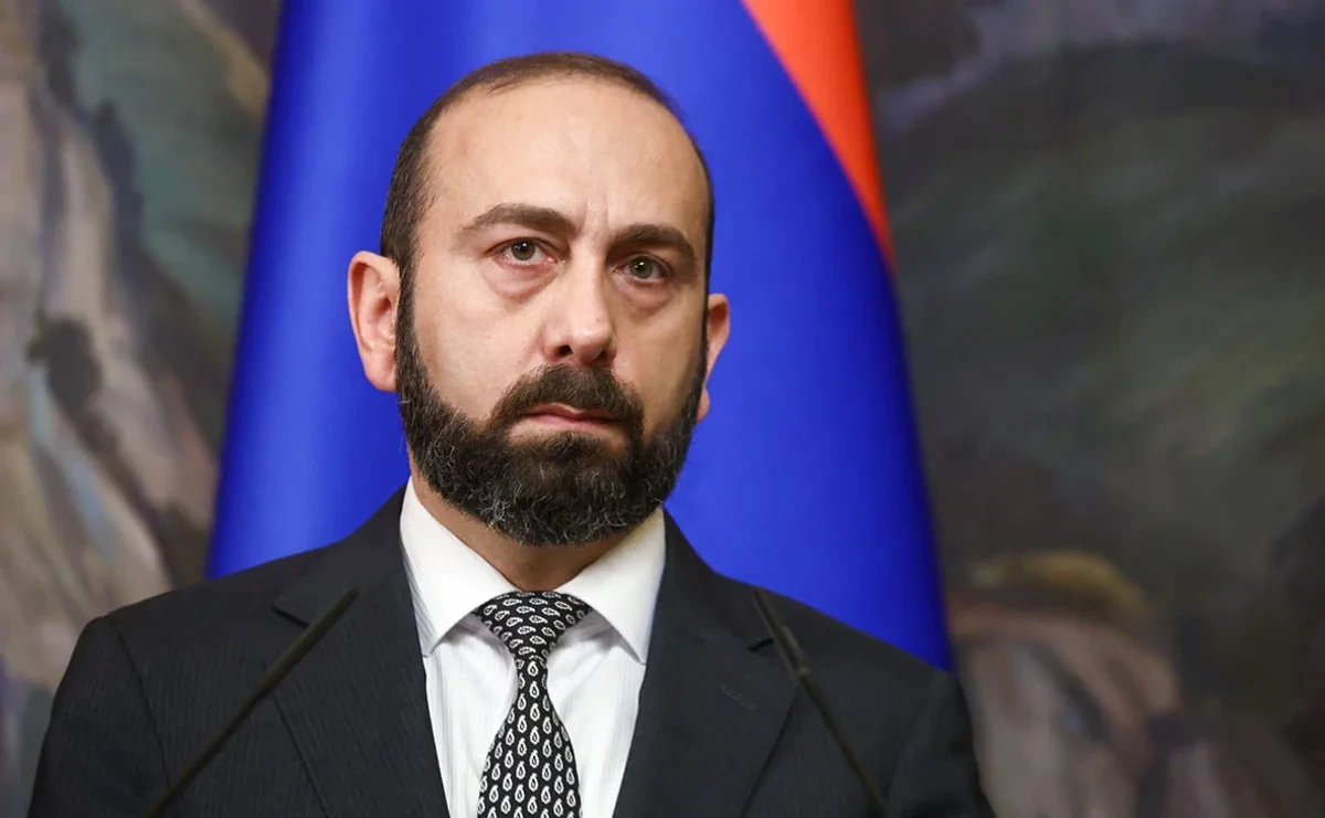 Mirzoyandan TRIPP açıqlaması: "Bizim bu cür imkanı əldən verməyə həqiqətən haqqımız varmı?"