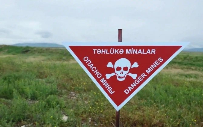 “Ermənistanın mina terrorunun ifşasını davam etdirməliyik”