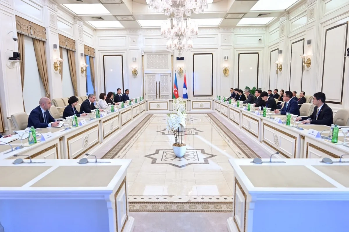 Sahibə Qafarova Laos Prezidenti ilə görüşdü - FOTO