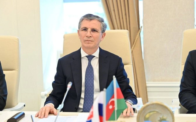 ”Əgər yerli nümayəndənin statusu koordinasiyanı təmin etmək üçün kifayət etmirsə...” - Zahid Oruc