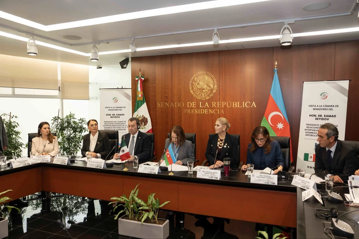 Milli Məclisin deputatları Meksika Senatının sədri ilə görüşüb - FOTO