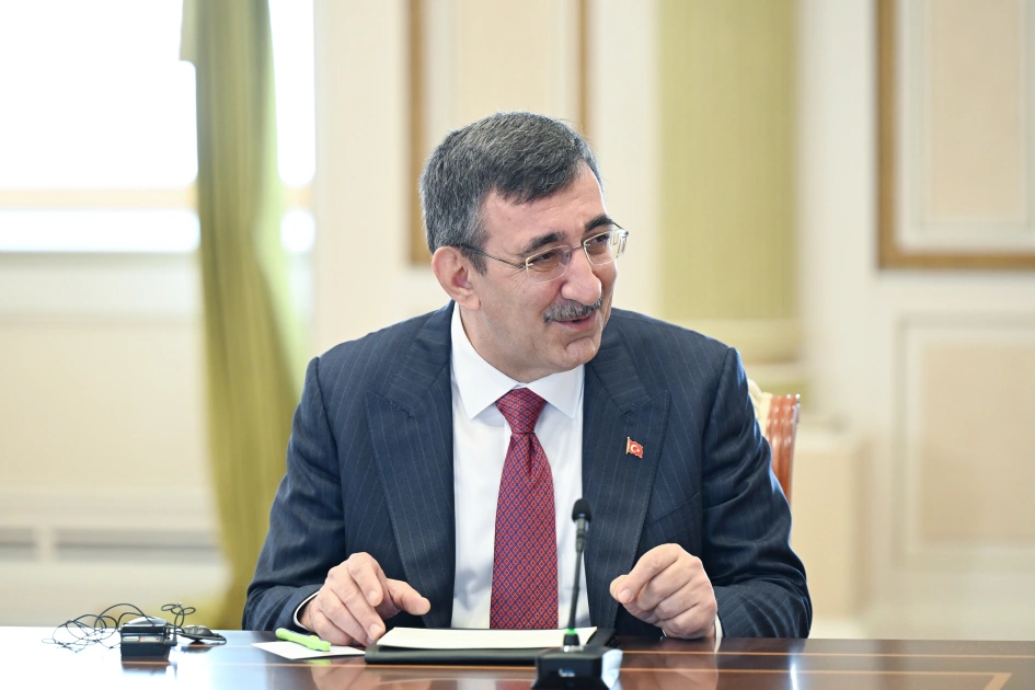 İlham Əliyev TDT-yə üzv dövlətlərin hökumət başçılarını qəbul etdi - FOTOLAR