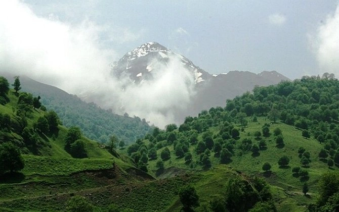 Qafqaz sakinlərində qeyri-adi genlər TAPILDI