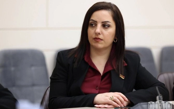 "Türkiyə bayrağını yandırmaq yalançı vətənpərvərliyin təzahürüdür..."-Erməni deputat