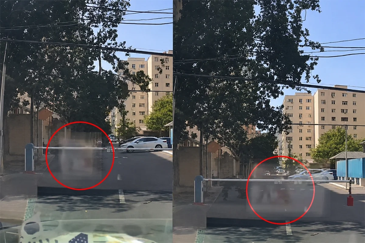 Bakıda sınan ağac budağı qadının üzərinə düşdü - ANBAAN VİDEO
