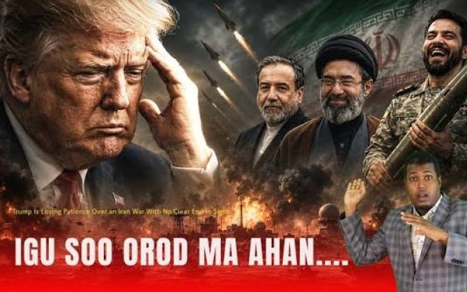 “Tramp heç bir aydın çıxış yolu və üfüq olmadan bataqlıqda ilişib... Qəzəblidir...”- “The Wall Street Journal”