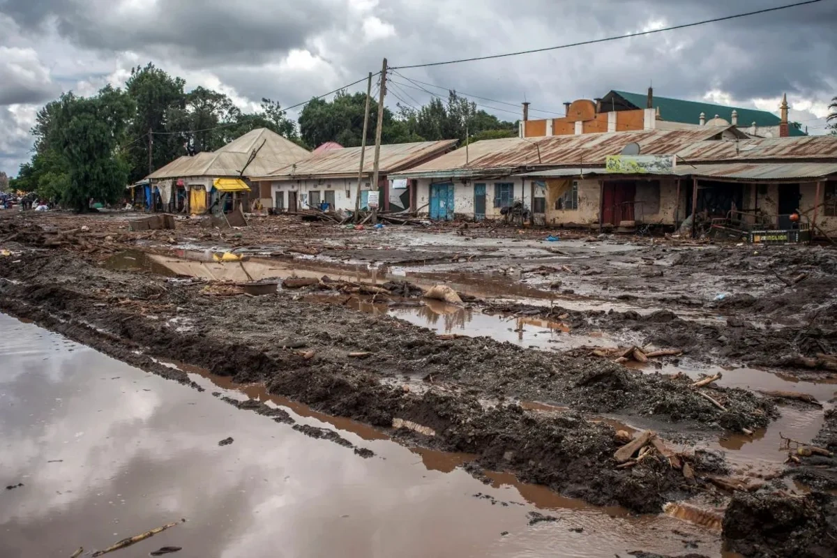 Tanzaniyada torpaq sürüşməsi: Çox sayda ölən var - FOTO
