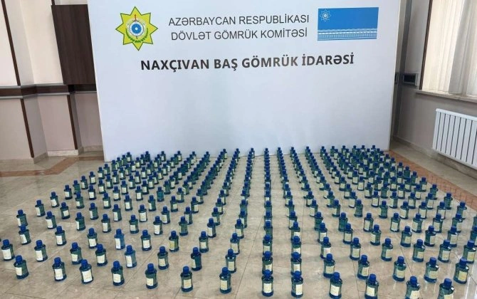 Ölkəyə külli miqdarda psixotrop maddə keçirmək istədilər - FOTO - VİDEO