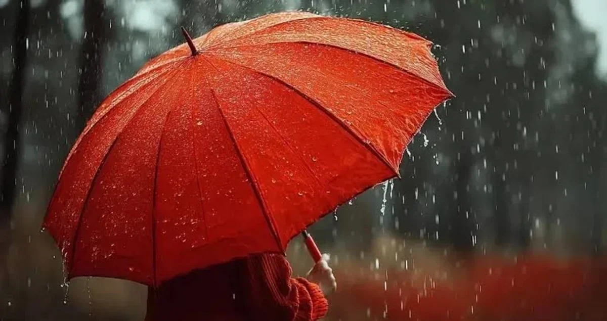 Sabah yağış yağacaq - PROQNOZ