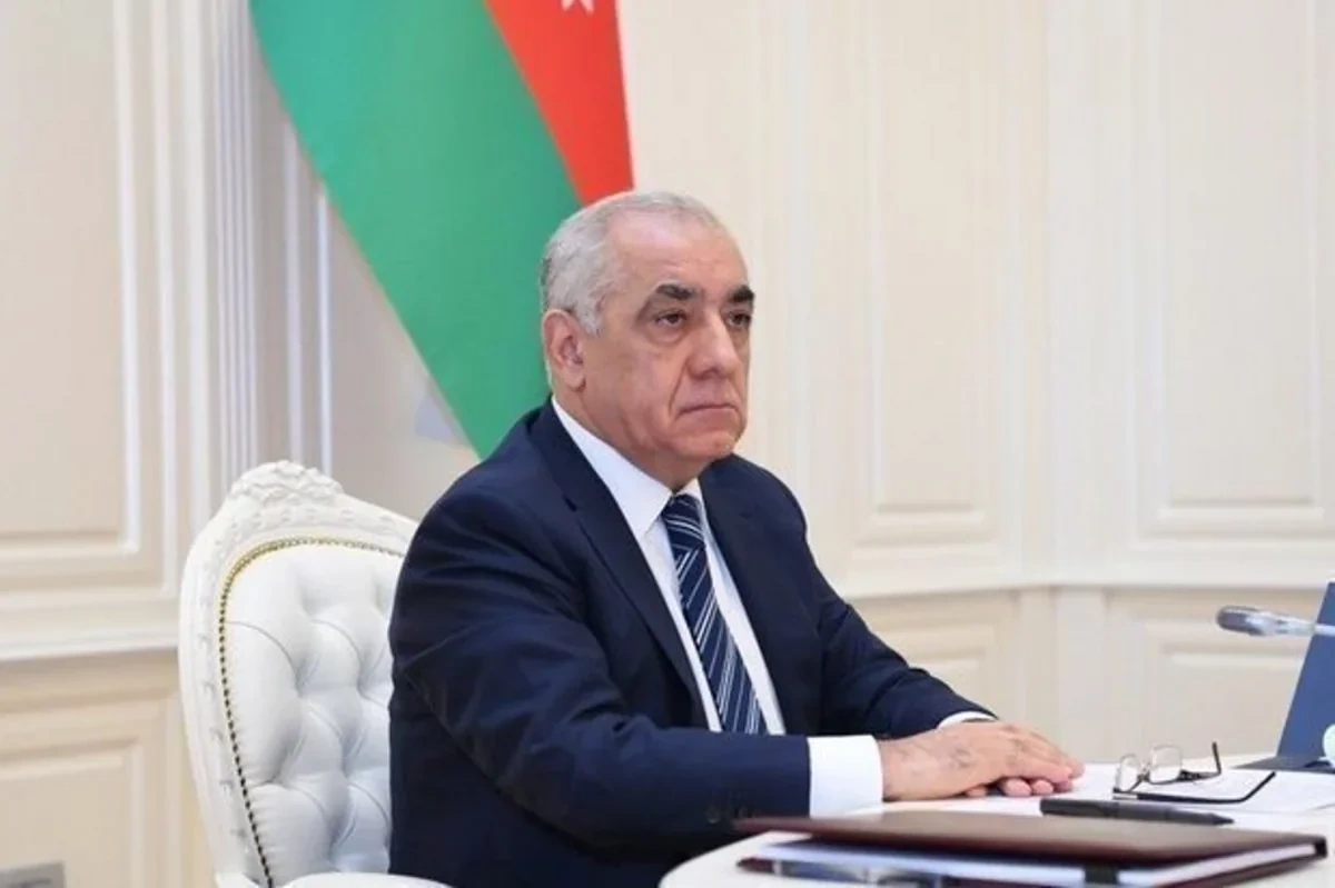 Əli Əsədov Türkiyə və Özbəkistanı dünya çempionatına vəsiqə qazanmaları münasibəti ilə təbrik edib