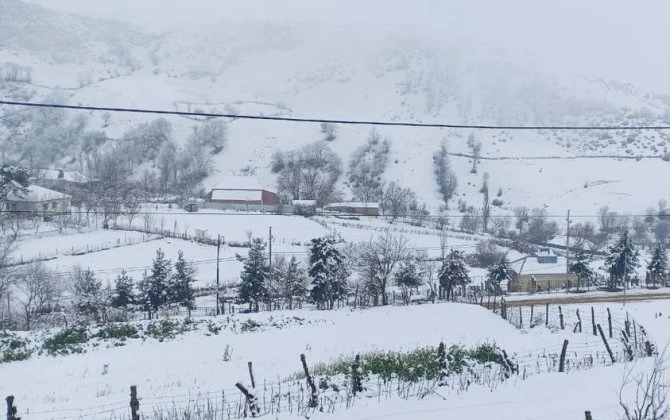 Cəlilabadın dağlıq kəndlərinə qar yağıb