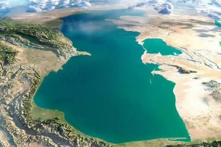 Xəzər dənizində unikal TAPINTI: suyu təbii təmizləyir