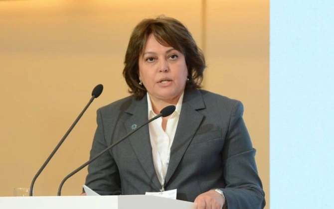 "Təmiz hava artıq yalnız ekoloji məsələ deyil" - Umayra Tağıyeva