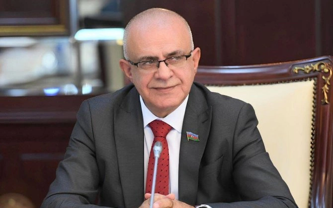 "Etimad şəffaflıq olan yerdə yaranır" - Elçin Mirzəbəyli