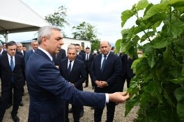 Xocalının Daşbulaq kəndində baramaçılığın inkişafı üçün yaradılmış infrastruktura baxış keçirilib - FOTO