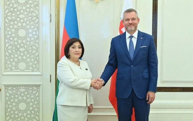 Milli Məclisin sədri Slovakiya Prezidenti ilə görüşüb