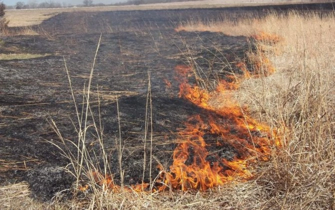 Əkin yerinin yandırılmasına görə yeni cərimələr, inzibati həbs müəyyənləşib