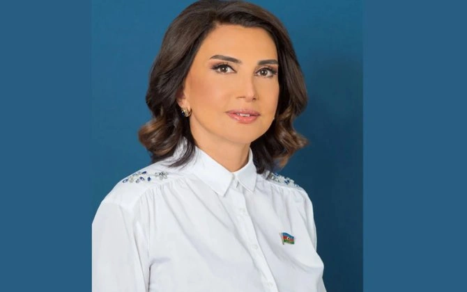 Prezidentin təltif etdiyi deputat kimdir? - DOSYE