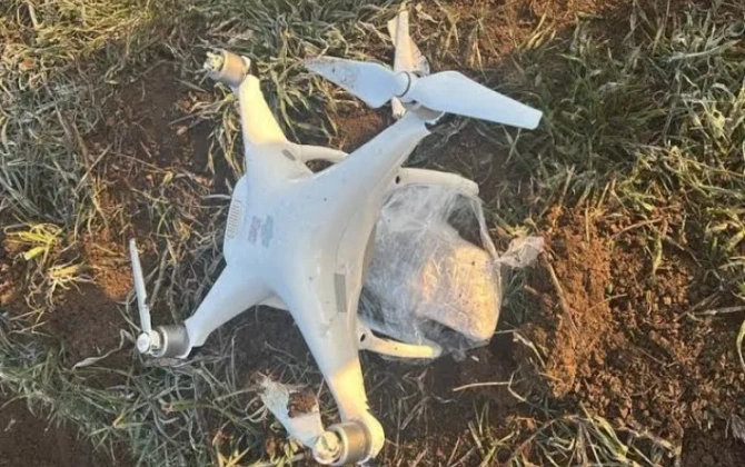 111 kilo narkotikin PUA ilə Azərbaycana keçirilməsinin qarşısı alındı - FOTO