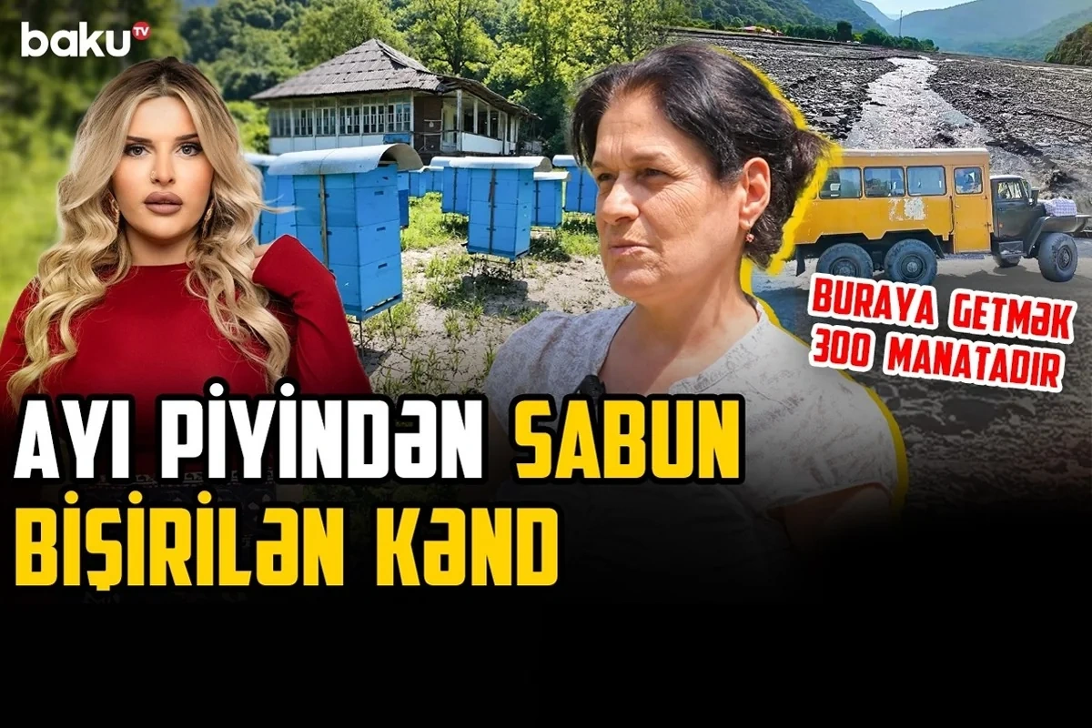 Ayı piyindən sabun bişirilən kənd - Zaqatalanın ən ucqar yaşayış məntəqələrindən birindən REPORTAJ - VİDEO