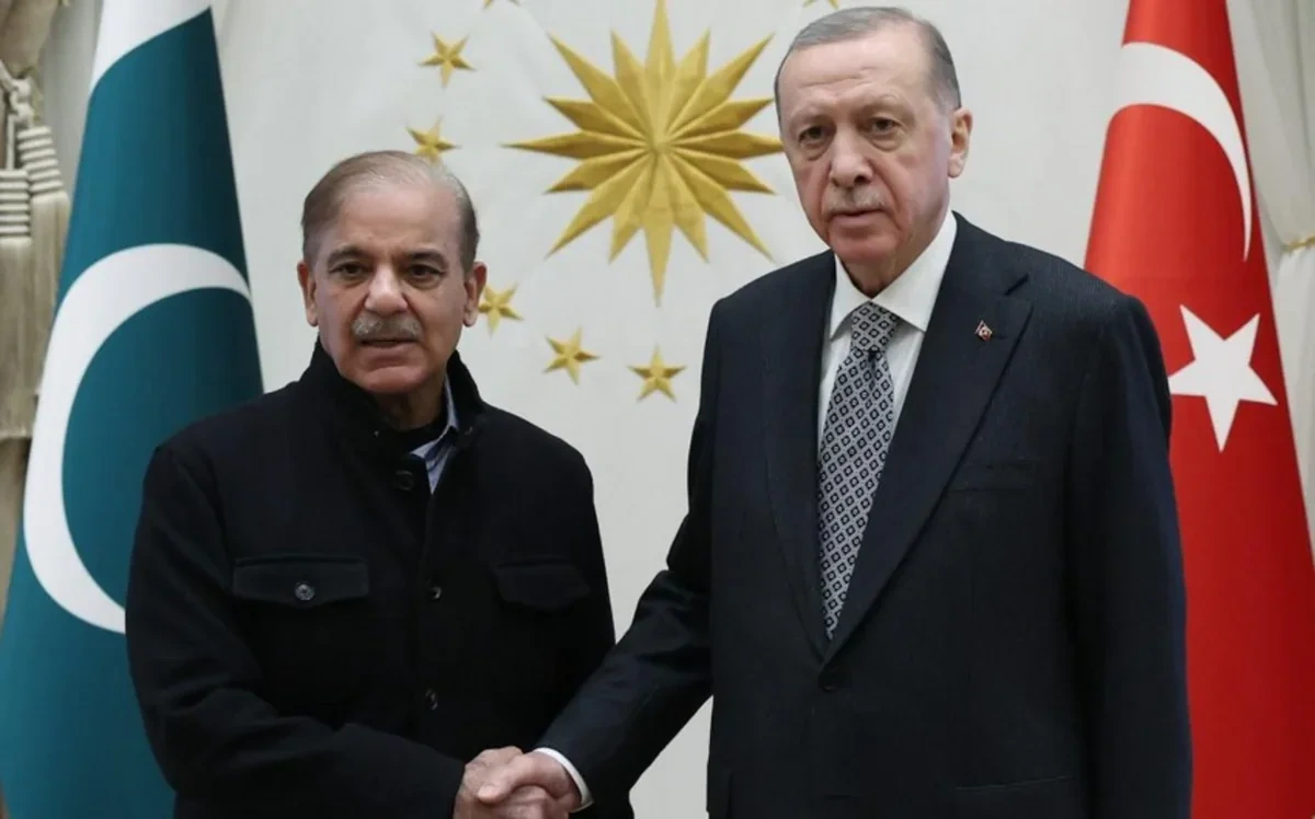Türkiyə və Pakistan liderləri Paşinyanı təbrik etdilər