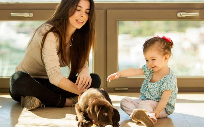 Ev heyvanı saxlamaq uşaqlara zərər verə bilərmi? - Pediatrdan tövsiyələr