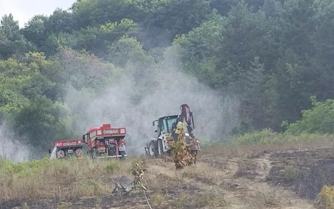 Bursada meşə yanğını başlayıb