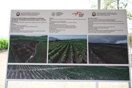 Xocalının Daşbulaq kəndində baramaçılığın inkişafı üçün yaradılmış infrastruktura baxış keçirilib - FOTO