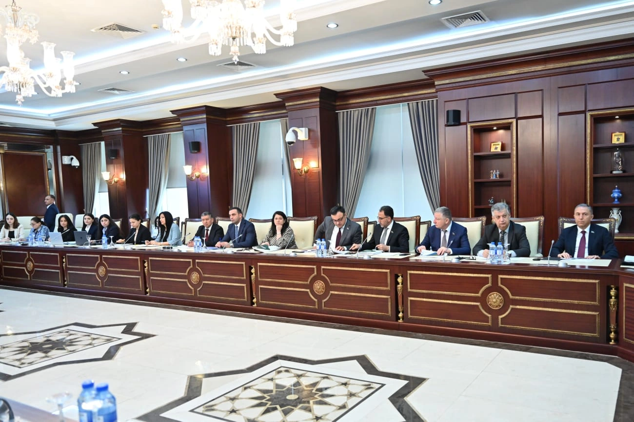 Milli Məclisin İqtisadi siyasət, sənaye və sahibkarlıq komitəsinin iclası keçirildi - FOTO