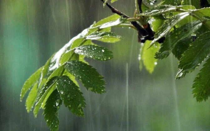 Azərbaycanda yağıntılı hava iyunun 9-dək davam edəcək - XƏBƏRDARLIQ