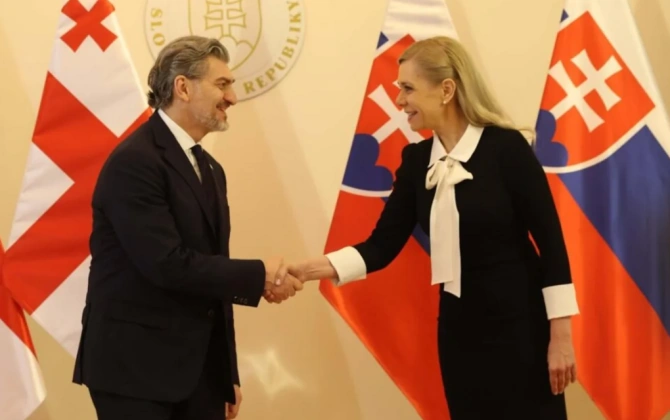Gürcüstan Prezidenti və Slovakiyanın Baş nazirinin müavini sahəvi əməkdaşlığı müzakirə ediblər