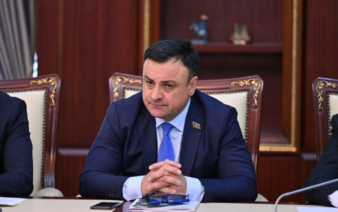 "İri investisiyalar iqtisadiyyatın diversifikasiyasına töhfə verəcək" – Deputat