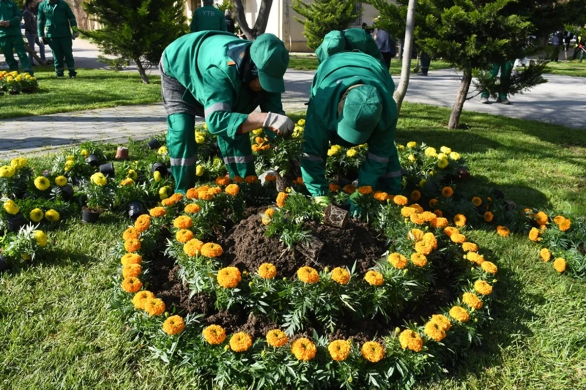 Bakıda daxili iməcilik keçirildi - FOTO