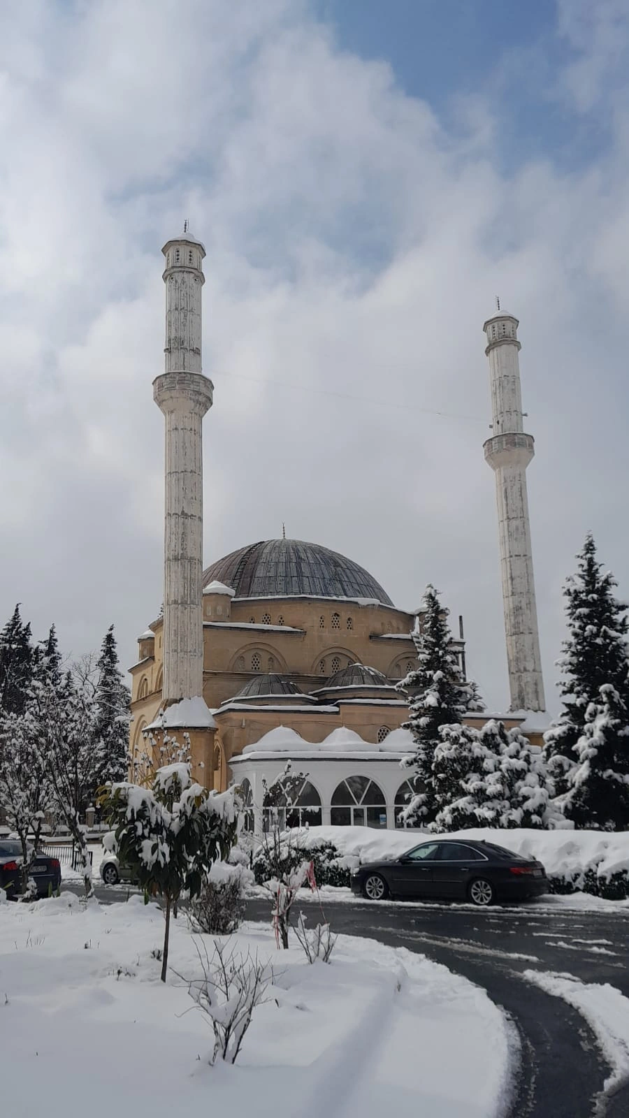 Zaqatala ağ örpəyə büründü - FOTOLAR
