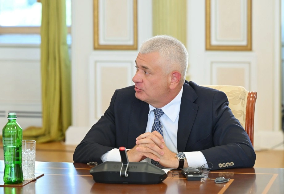 İlham Əliyev TDT ölkələrinin təhlükəsizlik üzrə rəhbər şəxslərini qəbul etdi - FOTOLAR