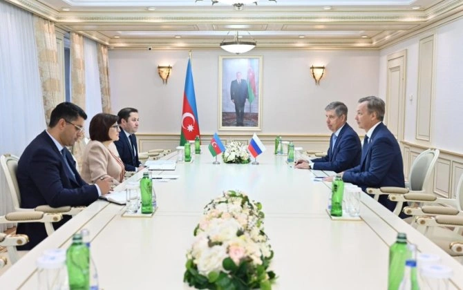 Milli Məclisin sədri Rusiya Federasiya Şurası sədrinin birinci müavini ilə görüşüb