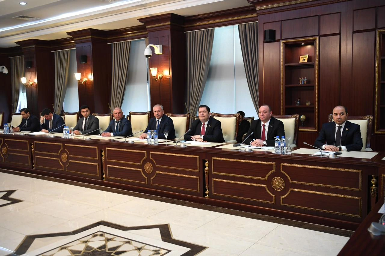 Milli Məclisin Regional məsələlər komitəsinin iclası keçirildi - FOTO