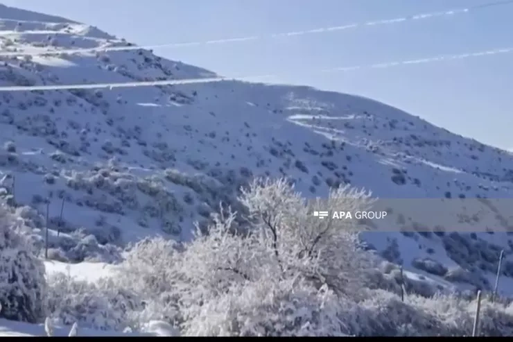 Naxçıvana 1 metrə yaxın qar yağdı - FOTO