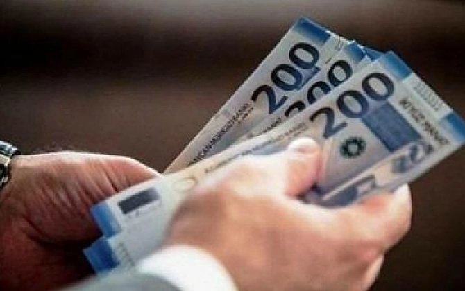 Bu il 41 mindən çox ailəyə doğum müavinəti ödənilib
