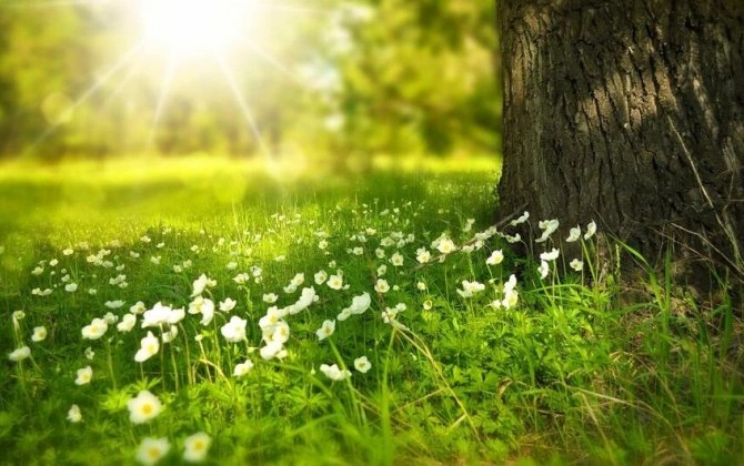 Aprel ayına olan hava proqnozu açıqlandı