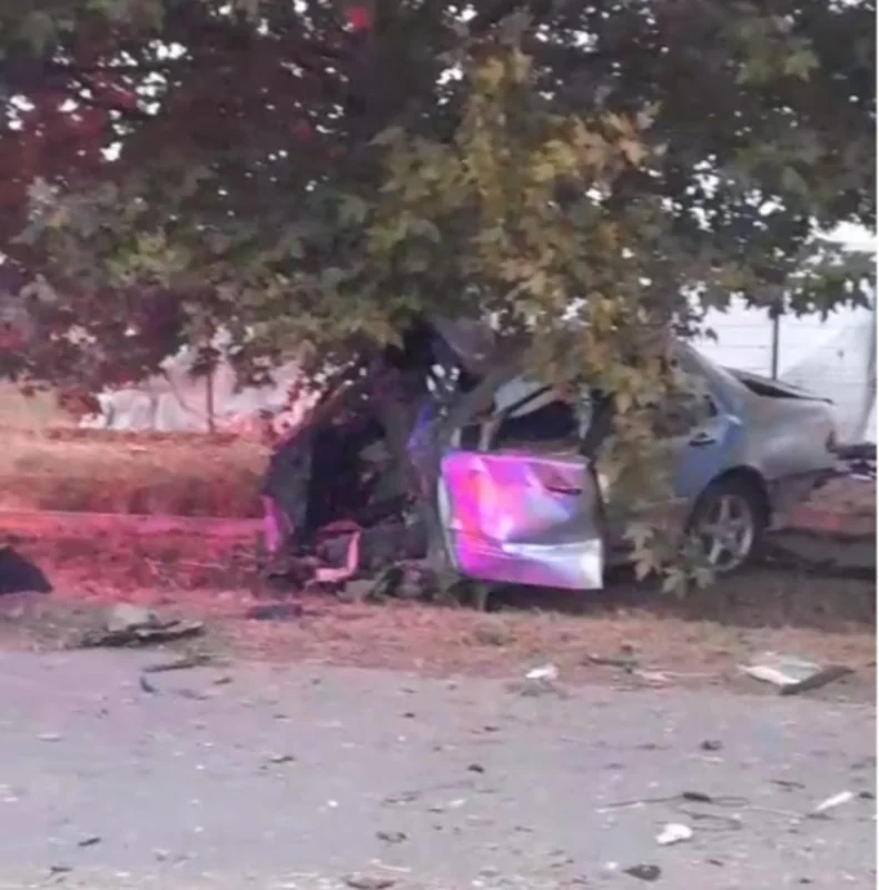 Füzulidə "Mercedes" ağaca çırpıldı, ölən var