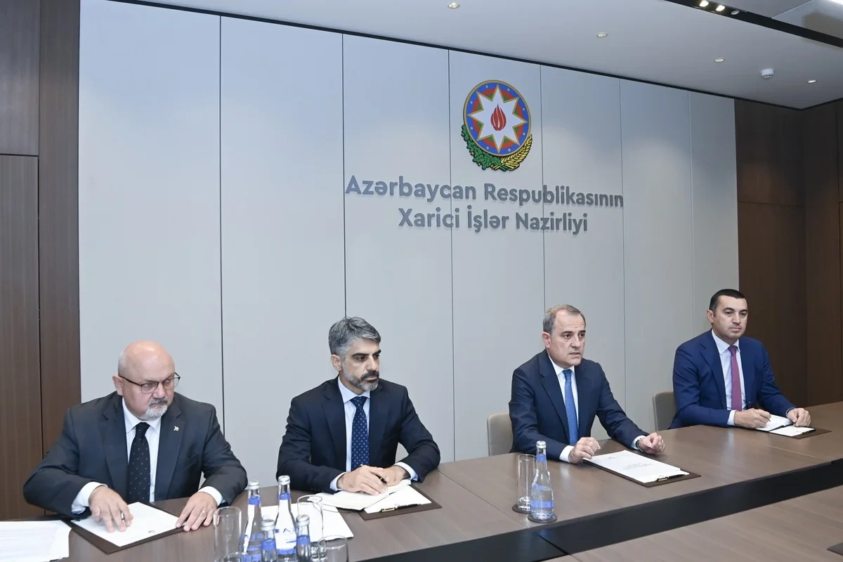Ceyhun Bayramov İsveçin yeni səfiri ilə görüşdü - FOTO