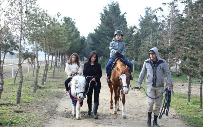 Əlilliyi olan 1300-dən çox şəxs hippoterapiya xidmətlərinə cəlb olunub - FOTO