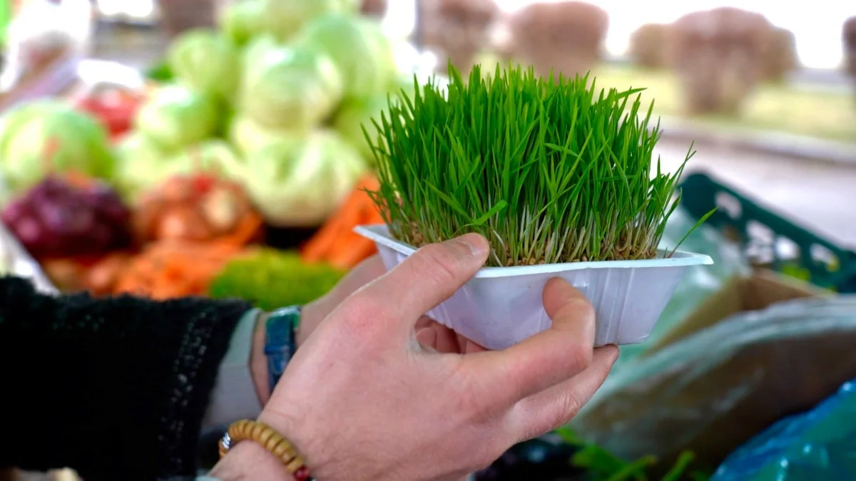 Xankəndidə "Kənddən Şəhərə" Novruz yarmarkası keçirilir - FOTO