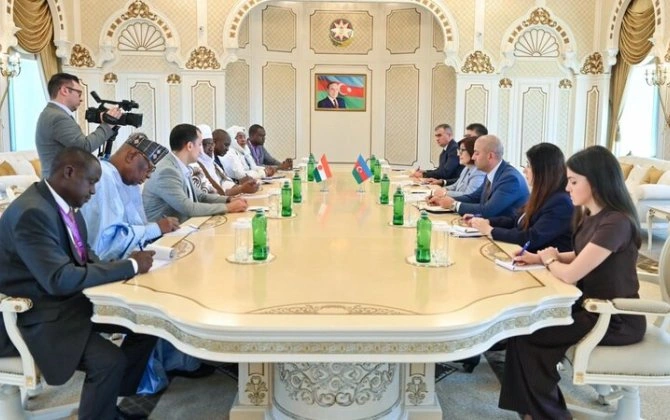 Milli Məclisin sədri Niger Respublikası Məsləhət Şurasının sədri ilə görüşüb