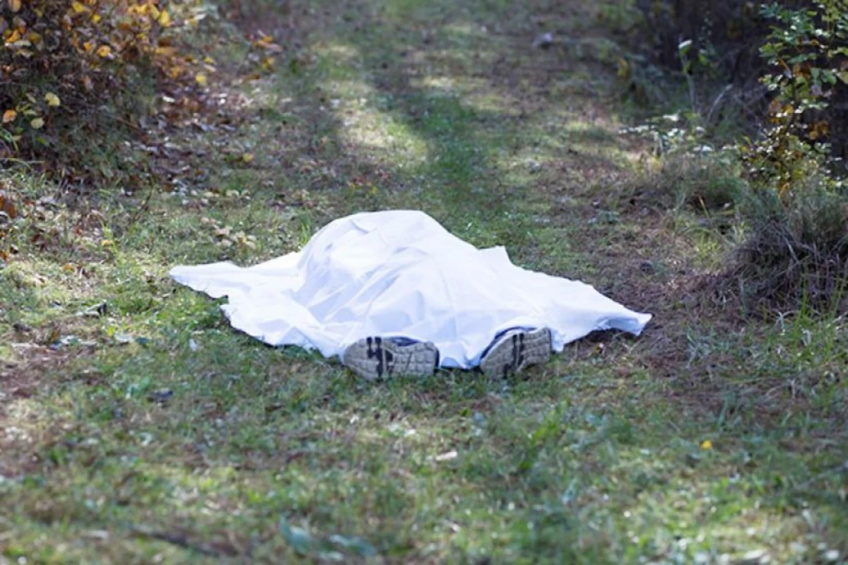 "Başına zərbə vurdum, sonra prokurorluğa gedib təslim oldum" - Meşədəki qətlin TƏFƏRRÜATI