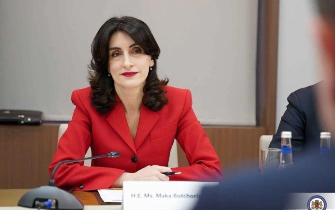 Boçorişvili: Aİ üçün Cənubi Qafqaz ölkələri ilə münasibətlər tamamilə fərqli əhəmiyyət qazanır