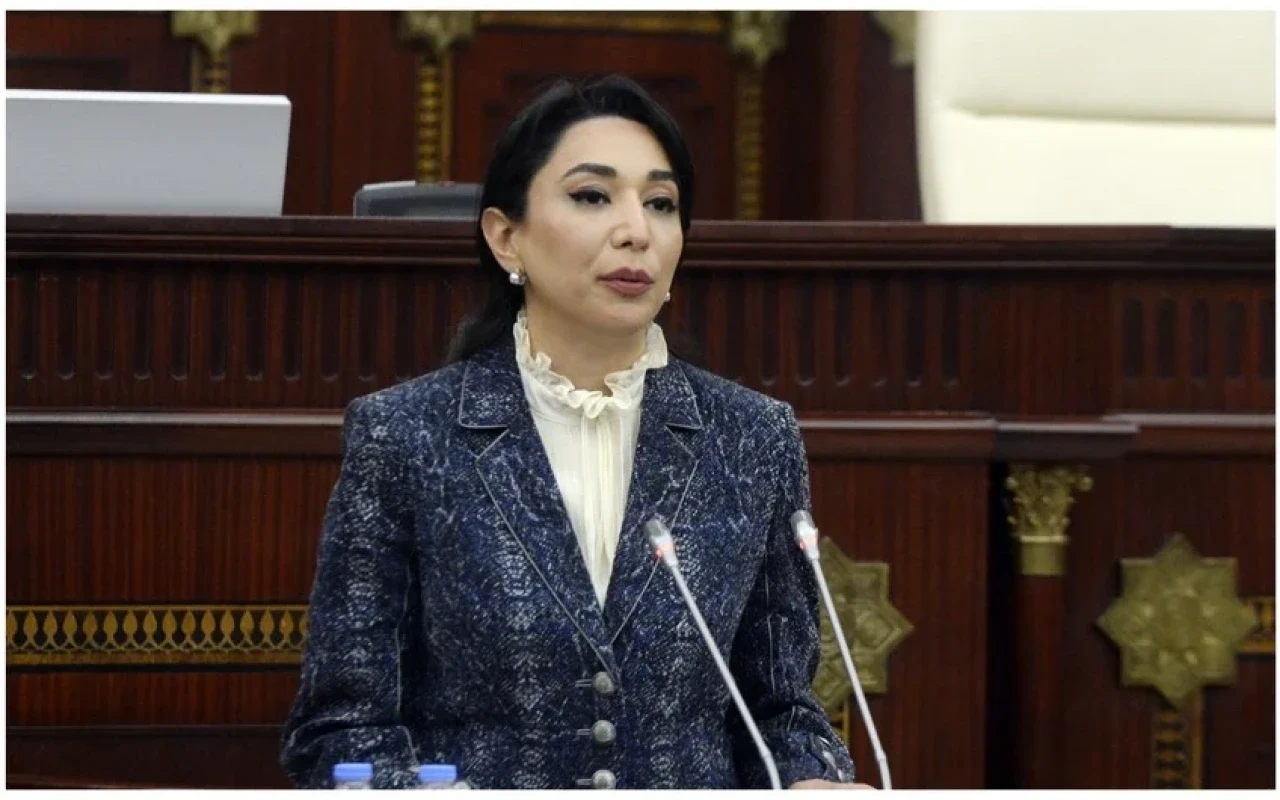 Ombudsman Milli Məclisdə hesabat verir