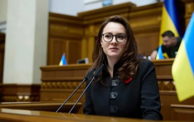 Ukrayna Ali Radası Sviridenkonun istefasını dəstəkləyib