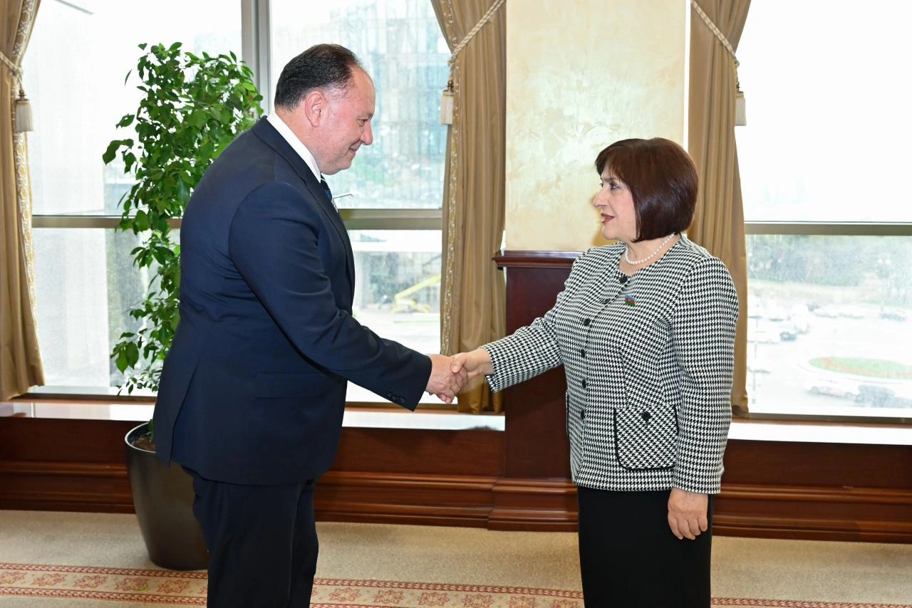 Sahibə Qafarova Azərbaycan, Türkiyə və Şimali Kipr parlamentlərinin dostluq qruplarının 3-cü görüşünün iştirakçıları ilə görüşüb - FOTO